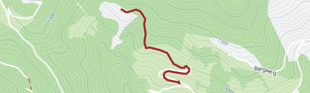 Route map: Wagrainer Alm über Bergweg ("Spazier-Wanderweg")